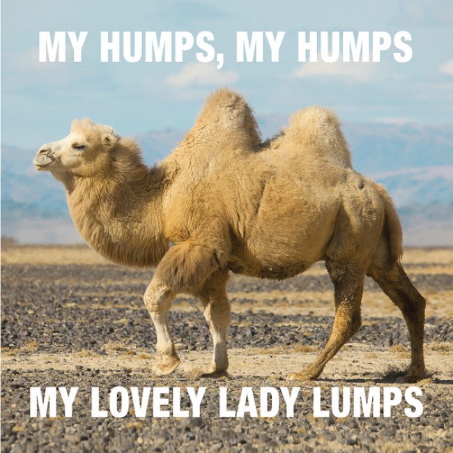 Image result for my humps meme