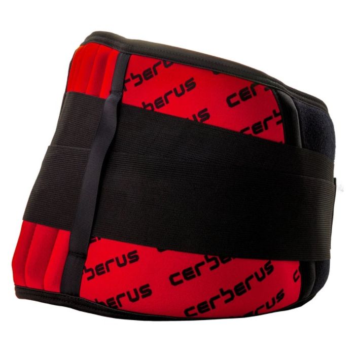 Neoprene back support belt online
