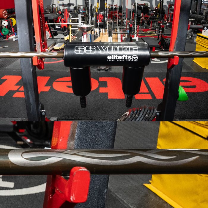 Ss yoke best sale safety squat bar