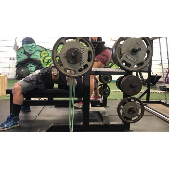 Elitefts monster mini new arrivals