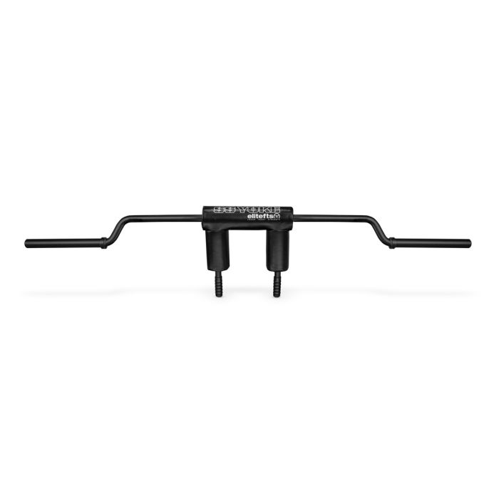 Elitefts hot sale dip stand