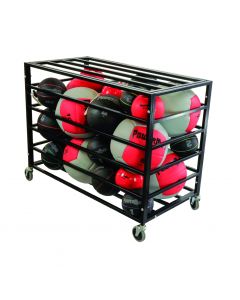 Medicine Ball Cage