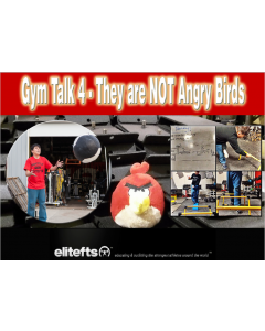 Gym Talk 4: They Are NOT Angry Birds (eBook)