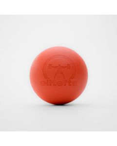 picture of pro mobility ball