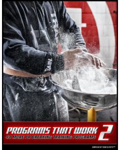 Programs That Work 2 (eBook)