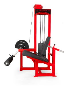 SELECTORIZED LEG EXTENSION 