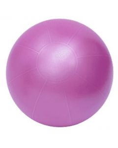 picture of swiss pro ball