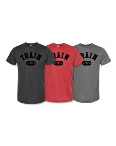 picture of elitefts Train Arch Premium T-Shirt