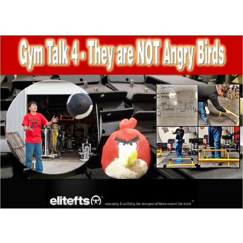 Gym Talk 4: They Are NOT Angry Birds (eBook)