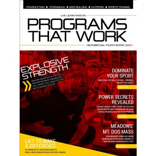 Programs That Work 4.1 (eBook)