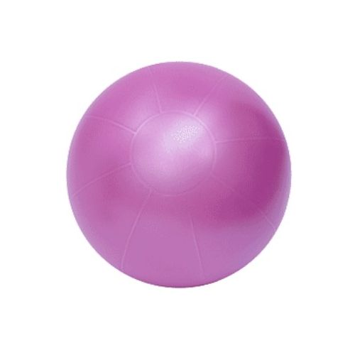 picture of swiss pro ball