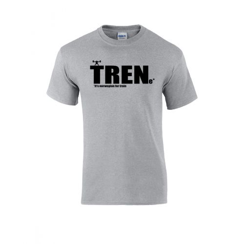 picture of gray trene T-shirt
