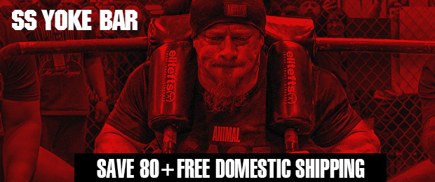 elitefts ss yoke bar sale
