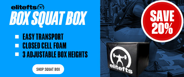 elitefts box squat box sale