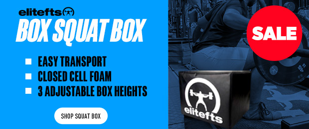 elitefts box squat box sale