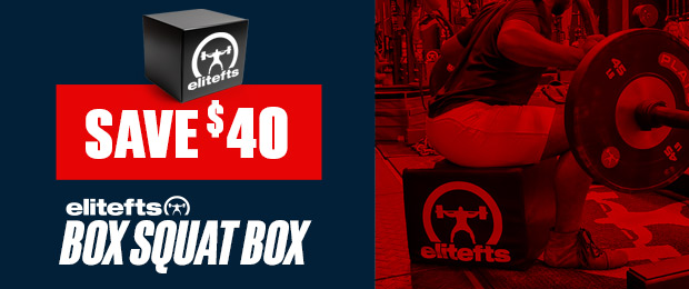 elitefts box squat box sale