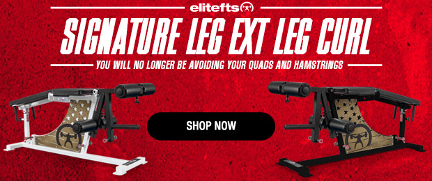 elitefts signature leg ext leg curl