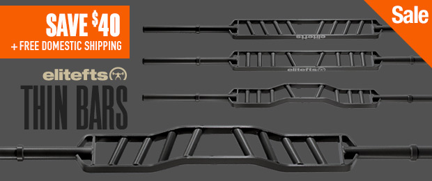 elitefts american thin bar sale