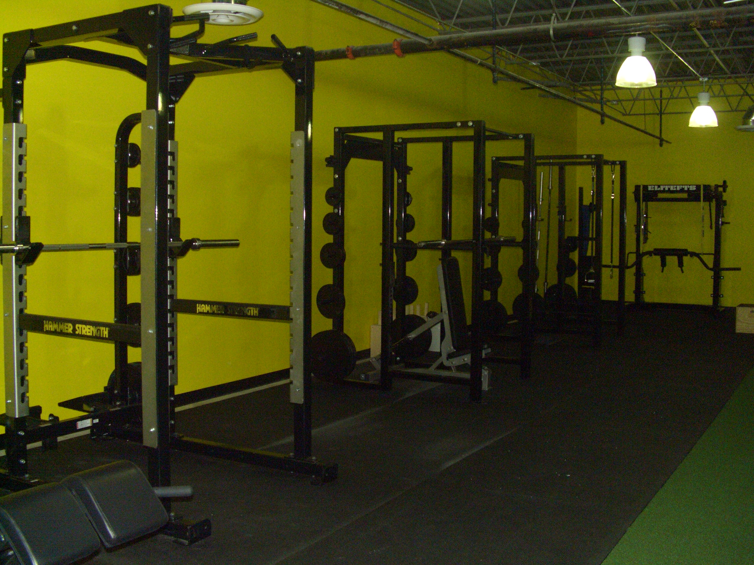Better Performance with a Gym Full of elitefts Equipment