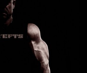Muscle Cell Sensitivity and Building Lean Mass