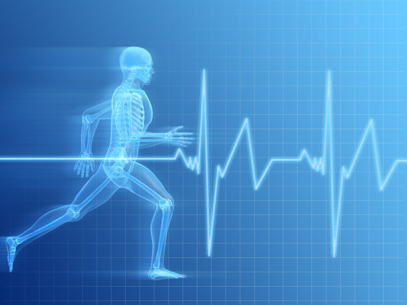 Heart Rate Training: Time to Enter the Zone