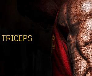 Triceps at Metroflex