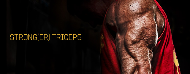 Triceps at Metroflex