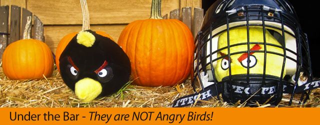 They are NOT Angry Birds (Part 2.2)