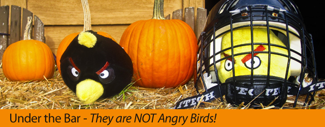 They are NOT Angry Birds! (Part 2.1)