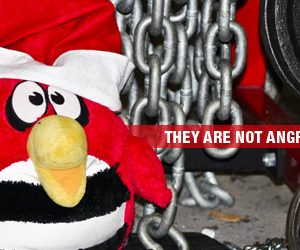 Under The Bar: They are NOT Angry Birds! The Holidays
