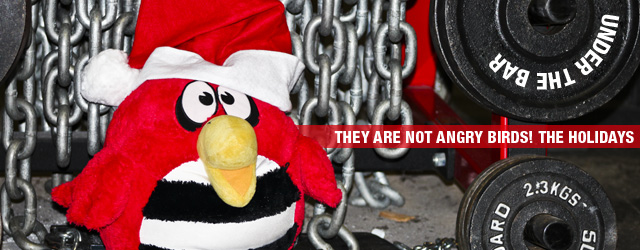 Under The Bar: They are NOT Angry Birds! The Holidays