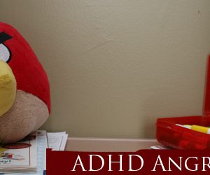 They Are NOT Angry Birds: Unleashing The Fury, ADHD Part 1
