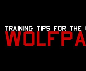 Training Tips for the One-Man Wolfpack 