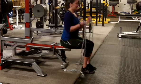 Seated Hammer Curl with Chains