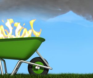 The Wheelbarrow Explained