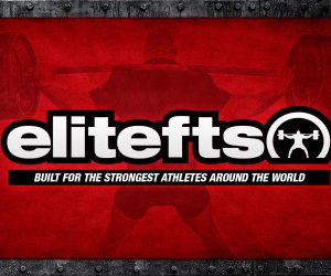 Elitefts Client List 