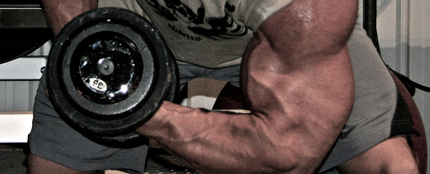 Bodybuilding Day: Back and Biceps