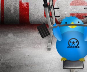 Elitefts Accessory Training Twitter Chat Feb 10th 9pm EST
