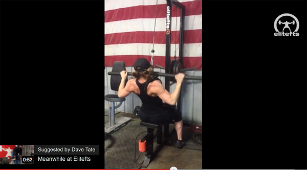 Elitefts™ Tsunami Bar Lat Pull-Down