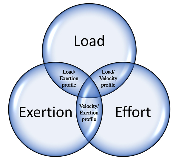 elitefts mladen Intensity Trinity copy