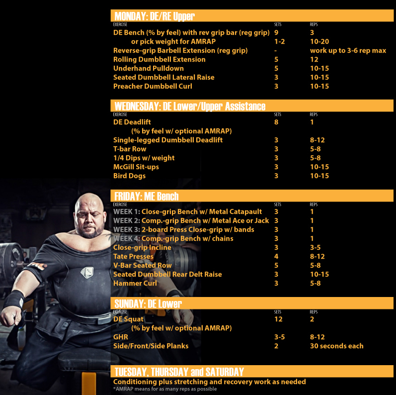 Dizenzo Raw Bench Program Revealed Elite Fts