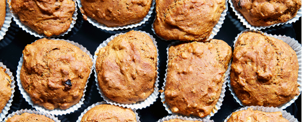 Pumpkin Protein Muffins