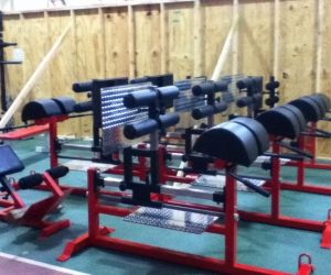 The 5 Falsehoods of Small School Strength & Conditioning