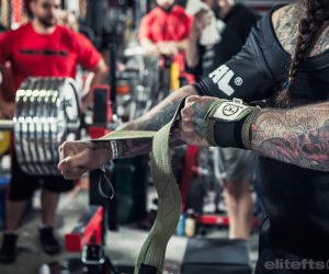 Olympia Deadlift Prep 2015: Bench