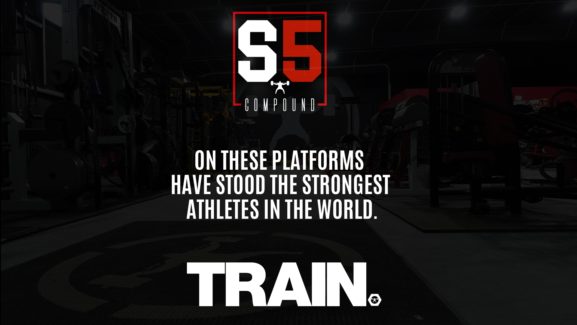 Training at Elitefts