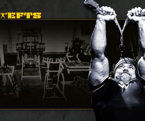 Metroflex Fargo: Triceps