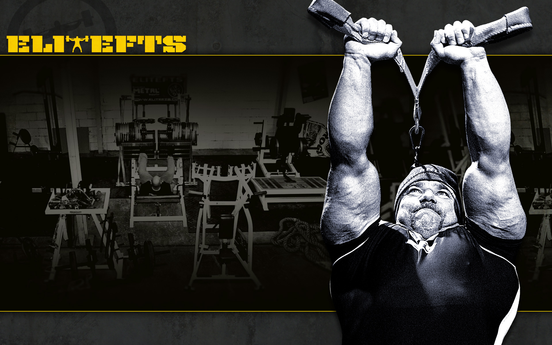 Metroflex Fargo: Triceps