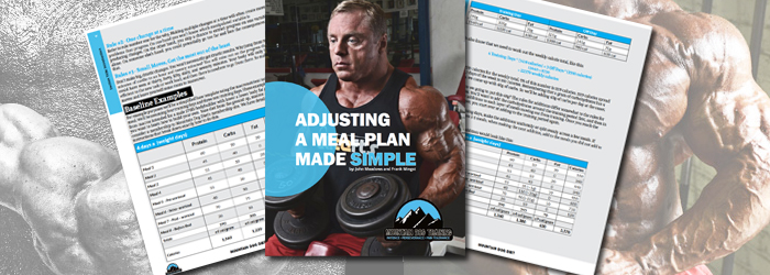 Release of “Adjusting A Meal Plan Made Simple”