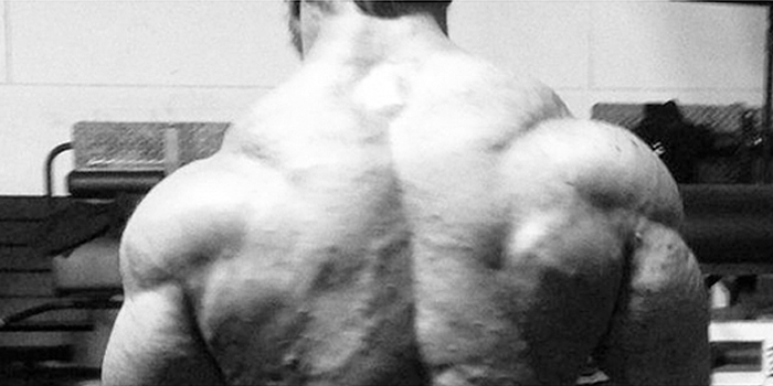 Bodybuilding Day: Back and Biceps