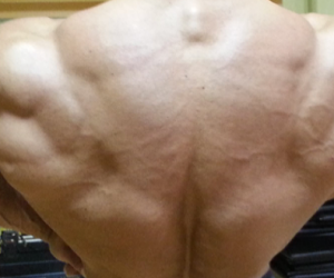 Power-Building Wk1 Day4: More Back